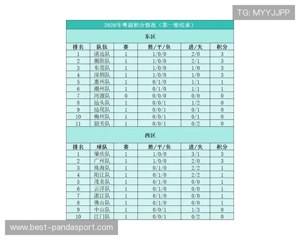 粤超最新积分榜全解析各队表现排名走势及未来夺冠前景分析